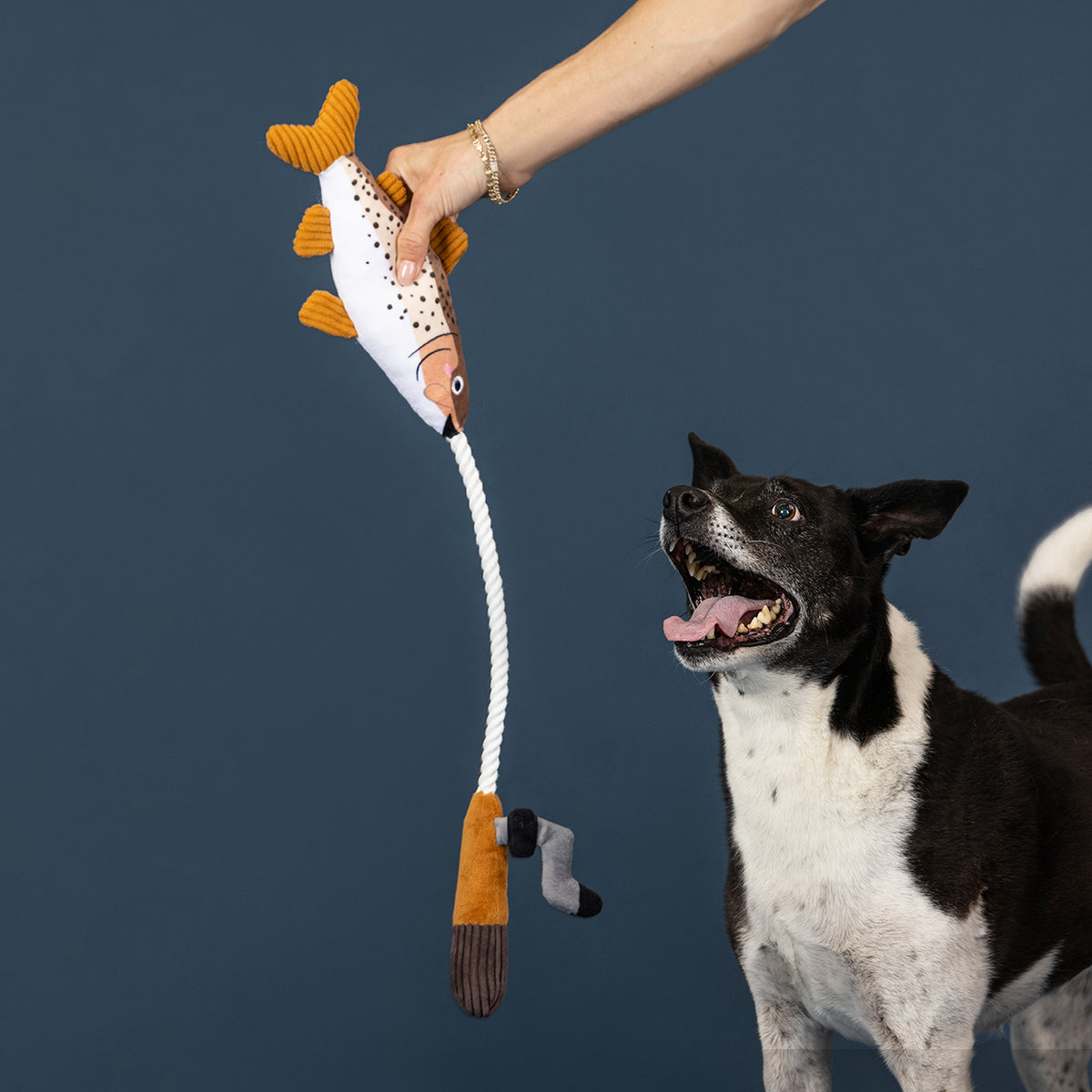 Wagsdale On The Line Rope Dog Toy