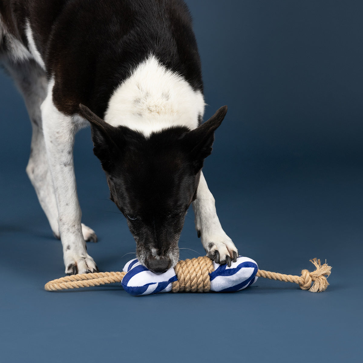 Wagsdale Feeling' Nauti Dog Toy