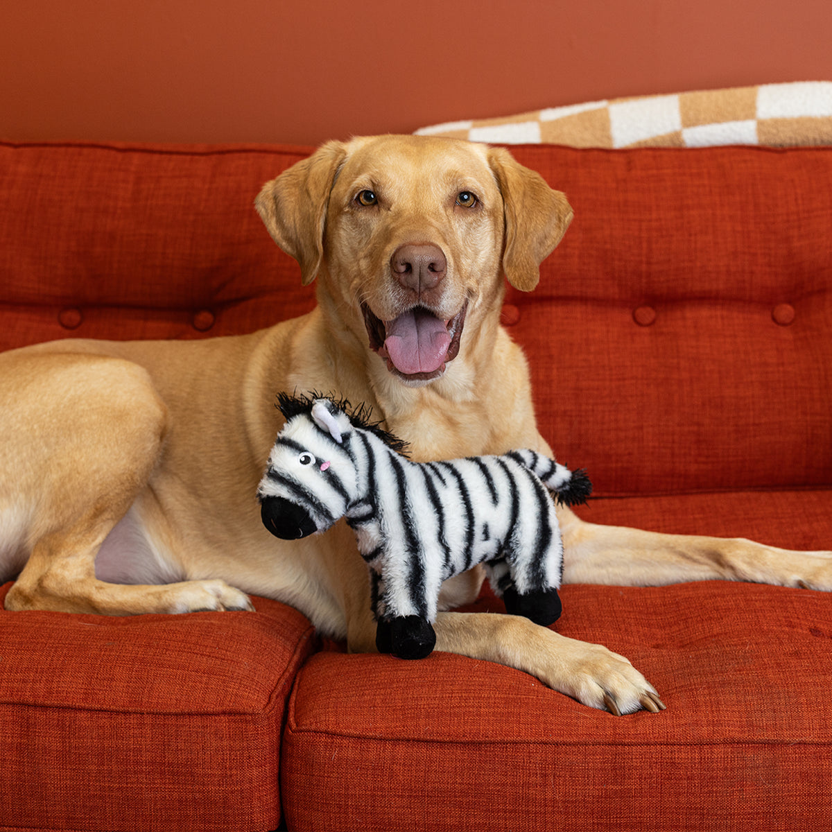 I'm Stripe-Tacular Plush Dog Toy