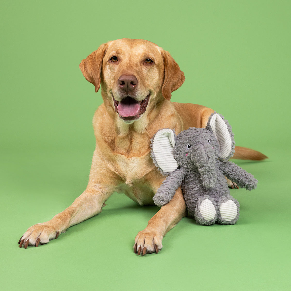 Love You a Ton! Plush Dog Toy