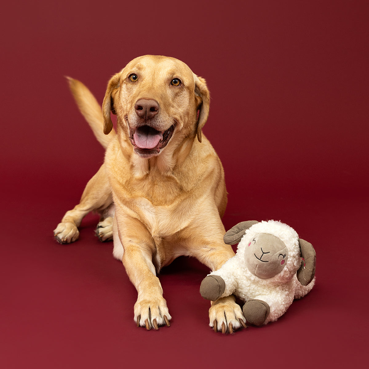 You Herd Me Plush Dog Toy