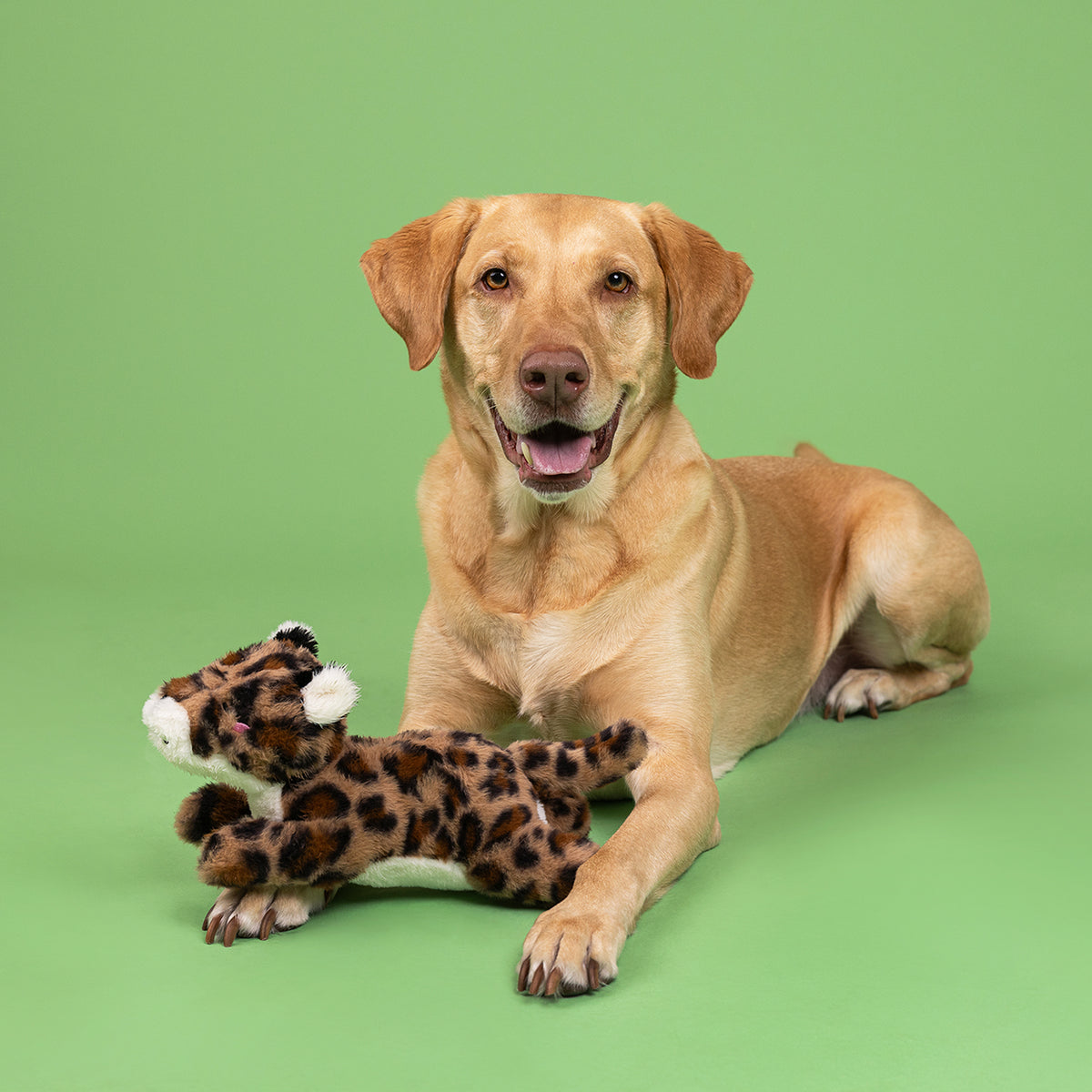 You're Spot On Plush Dog Toy