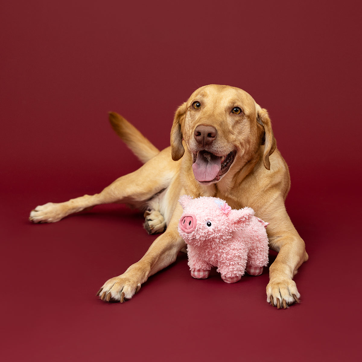 I Ham What I Ham Plush Dog Toy