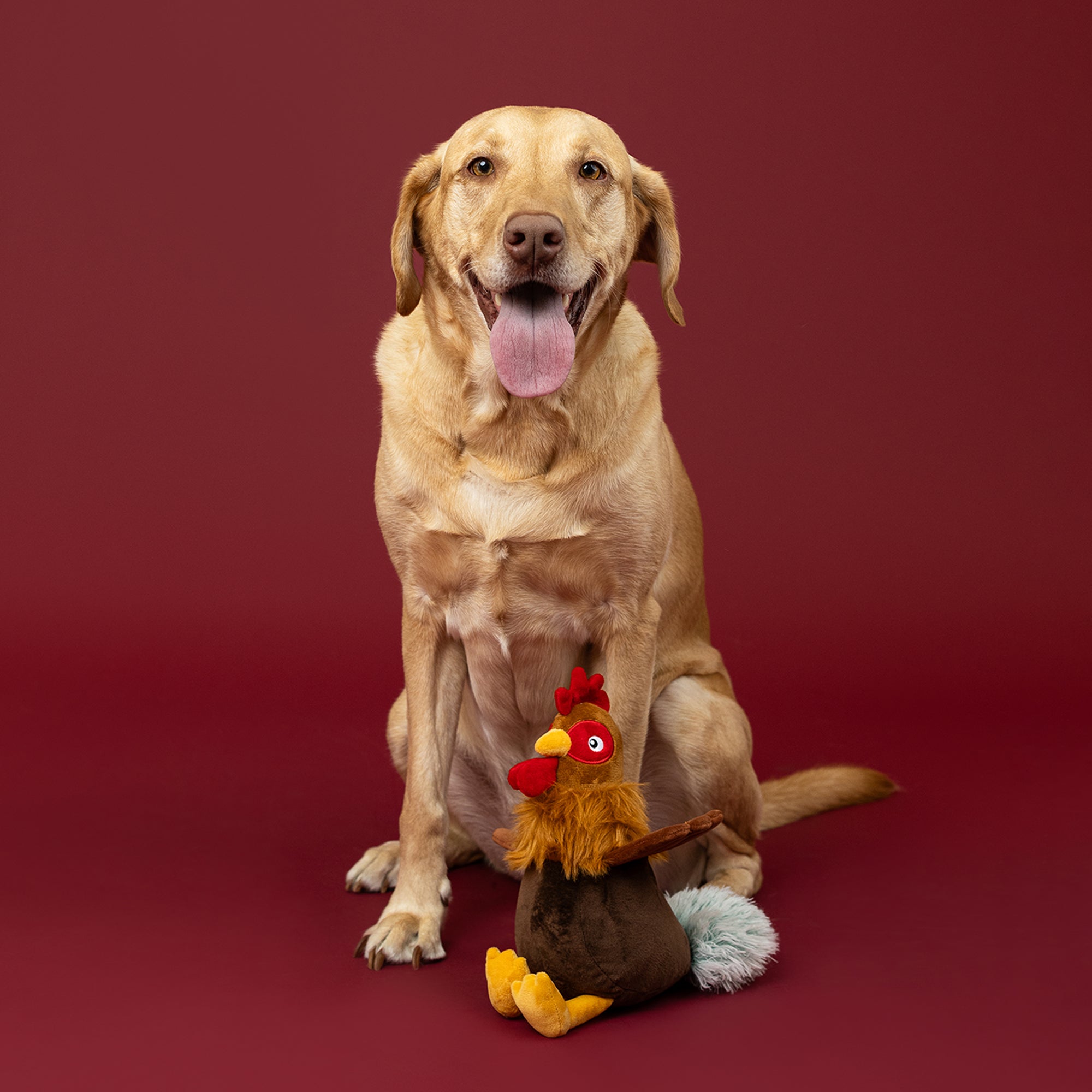 Roost and Repeat Plush Dog Toy
