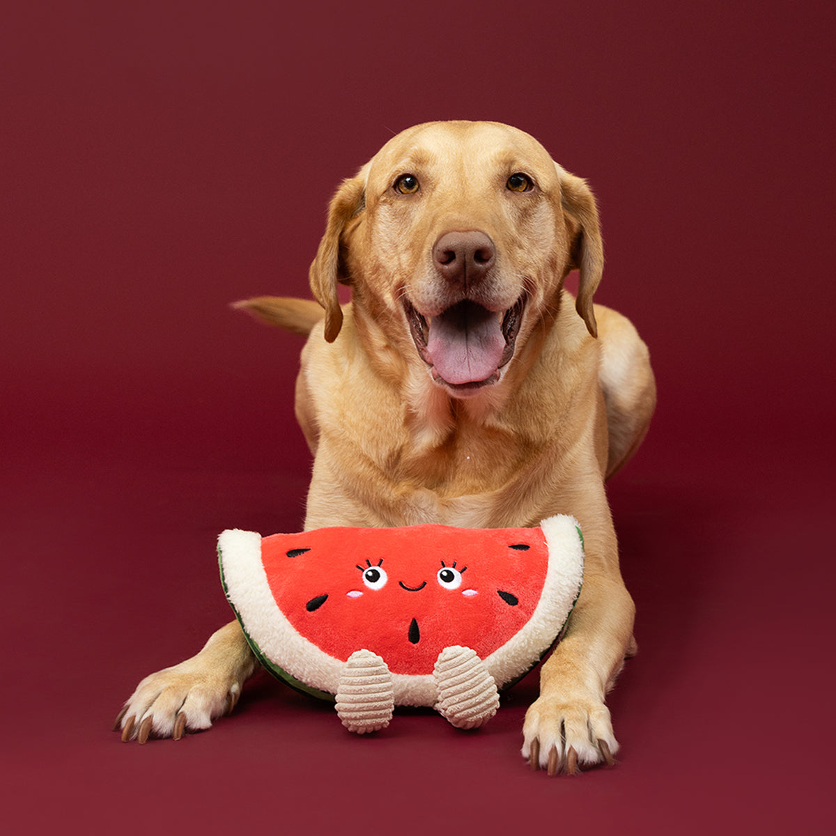 Seed The Day Plush Dog Toy