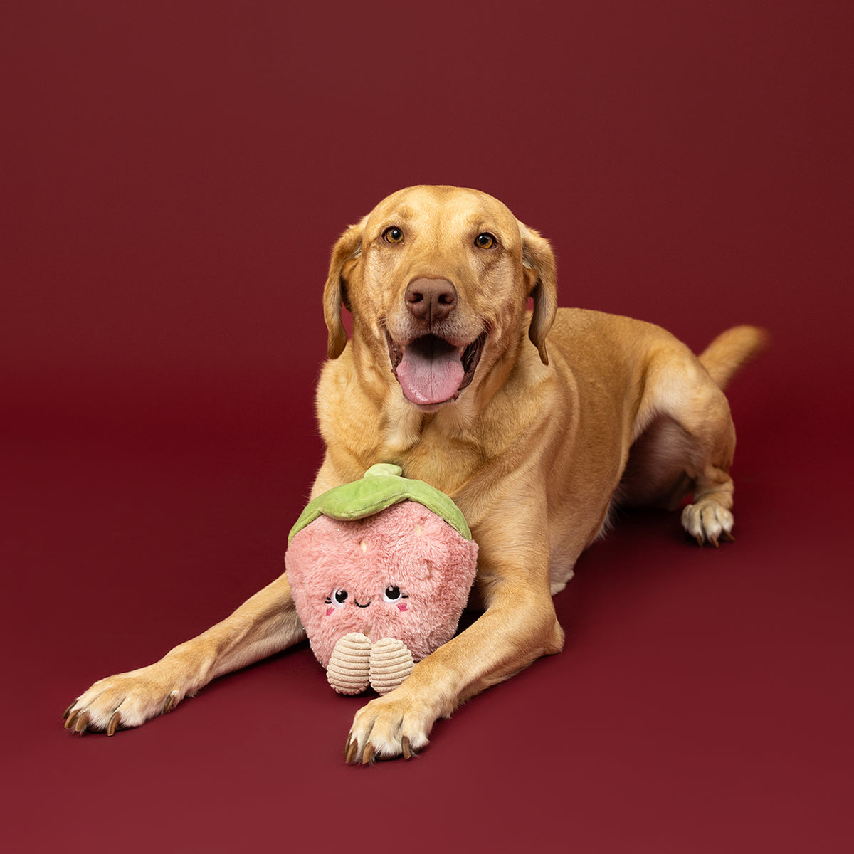 You're My Jam Plush Dog Toy