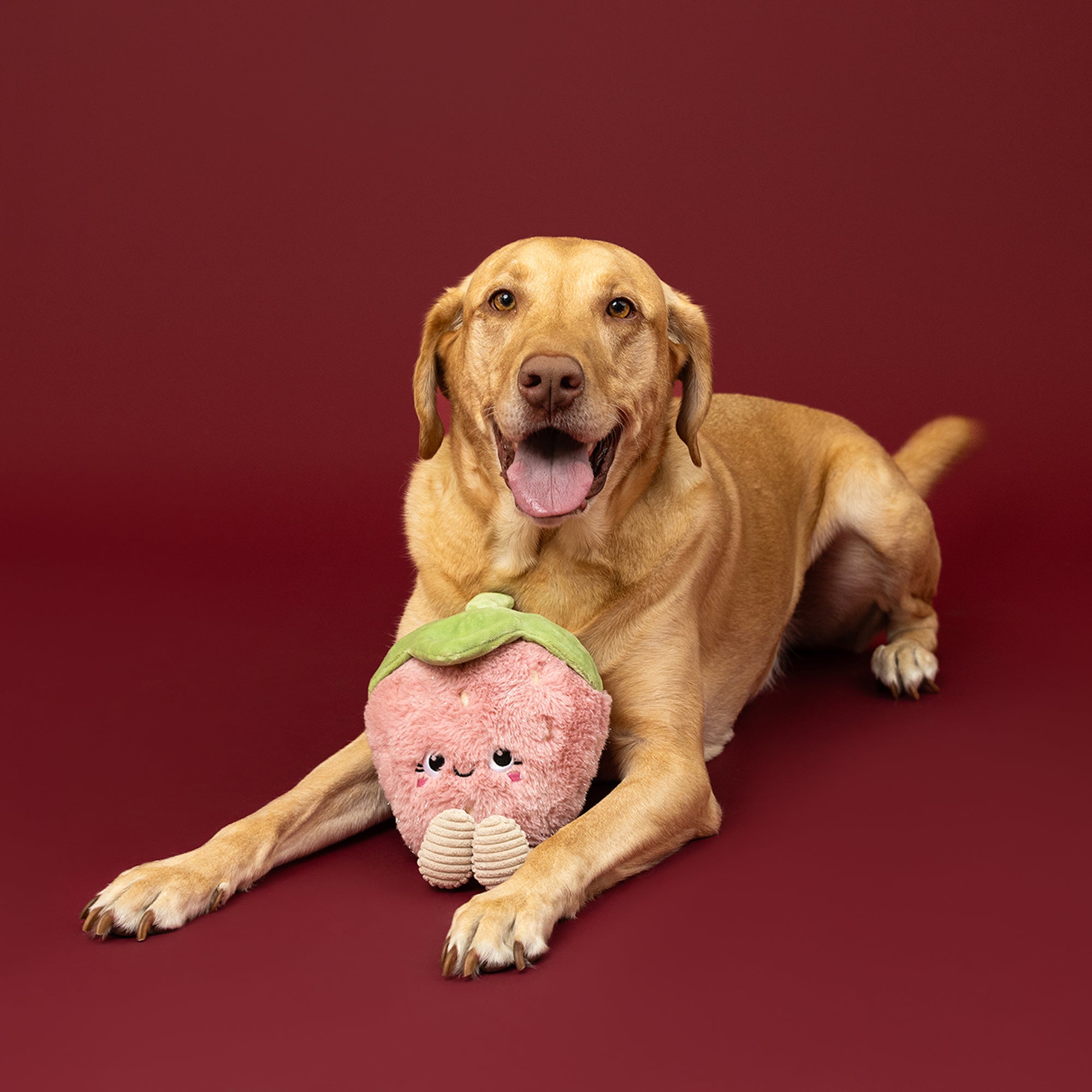 You're My Jam Plush Dog Toy