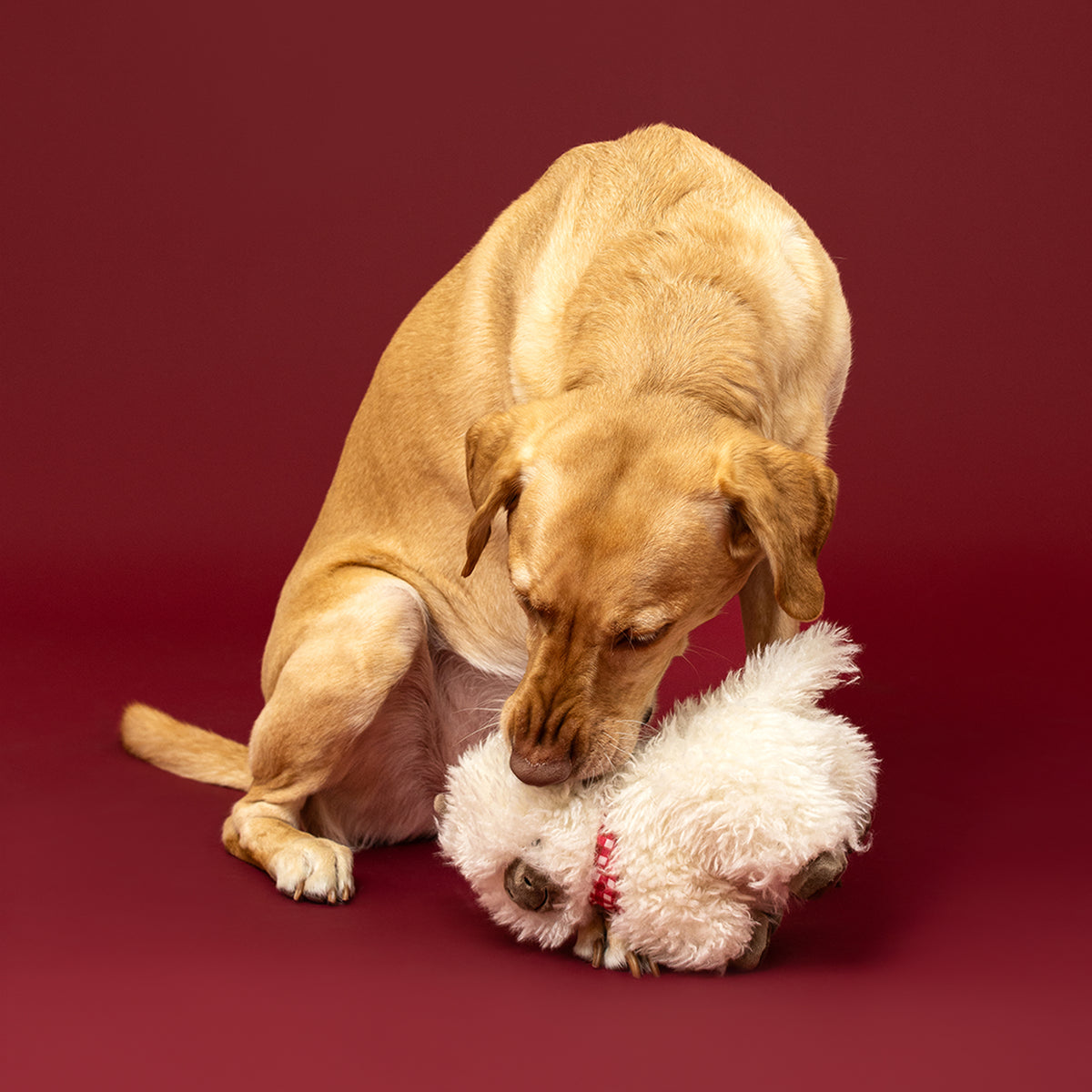 Hair Today, Cuddle Tomorrow Plush Dog Toy