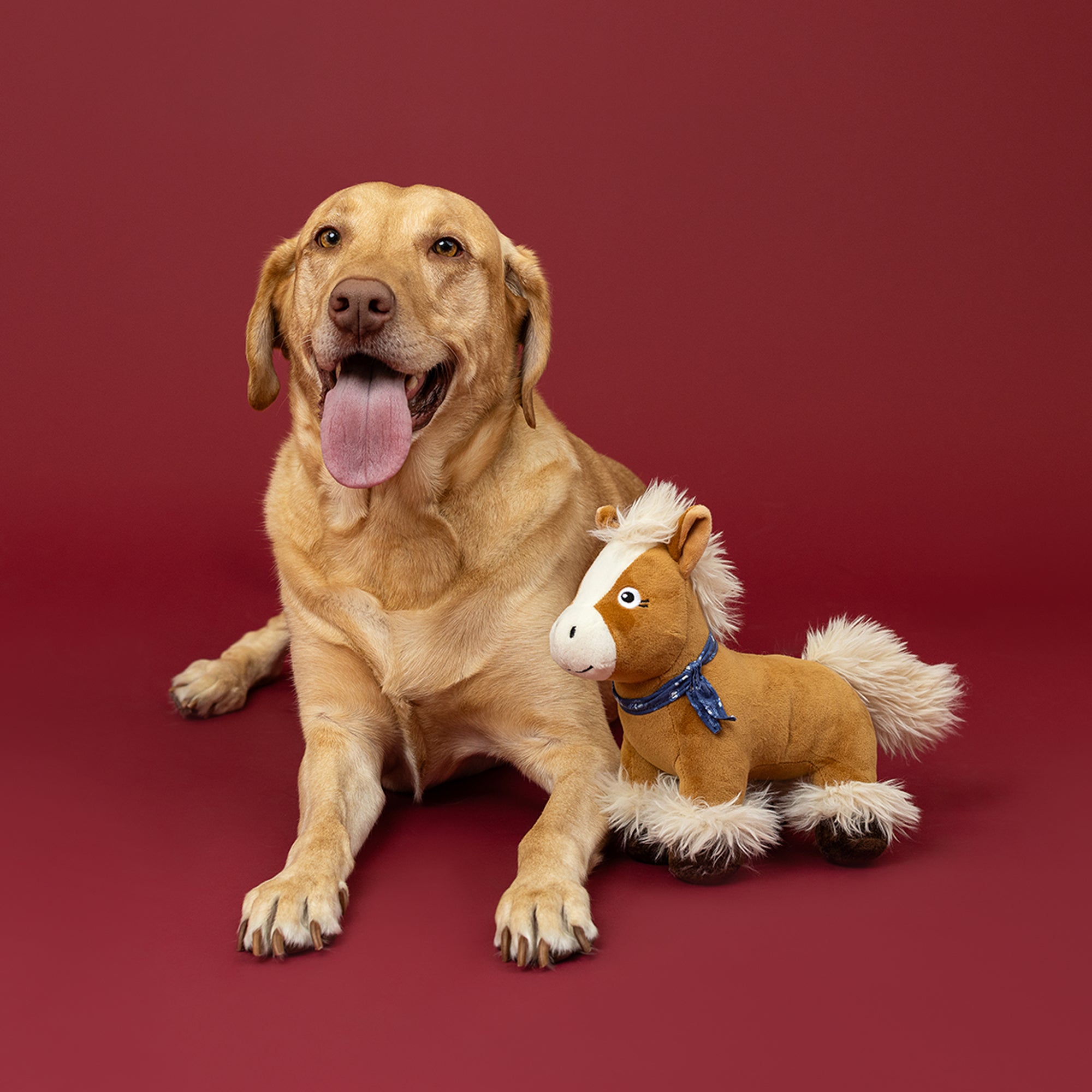 Hay There, Cutie! Plush Dog Toy