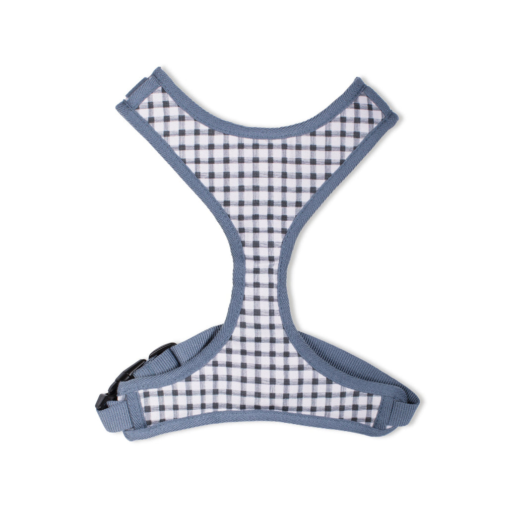 Painted Gingham Dog Harness
