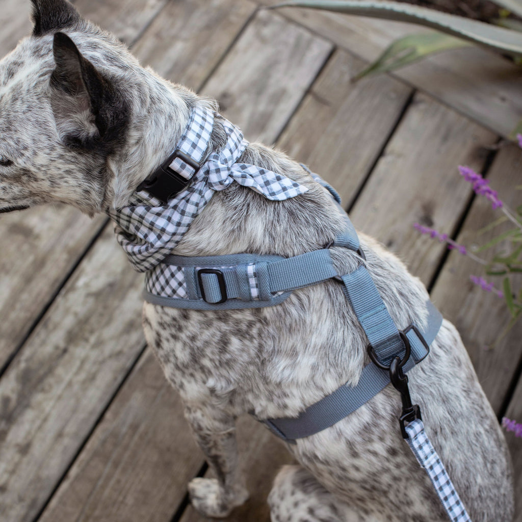 Painted Gingham Dog Harness