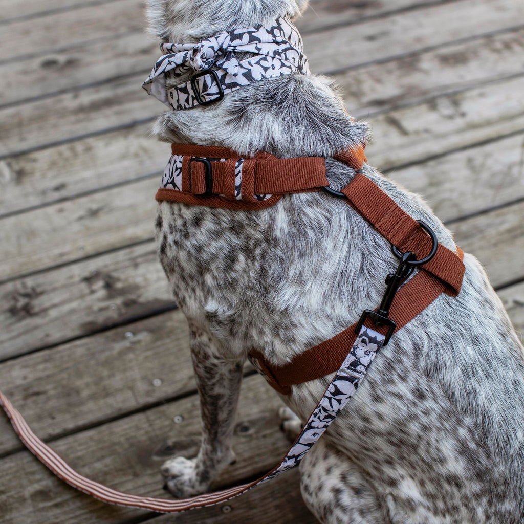 Charcoal Floral Dog Harness