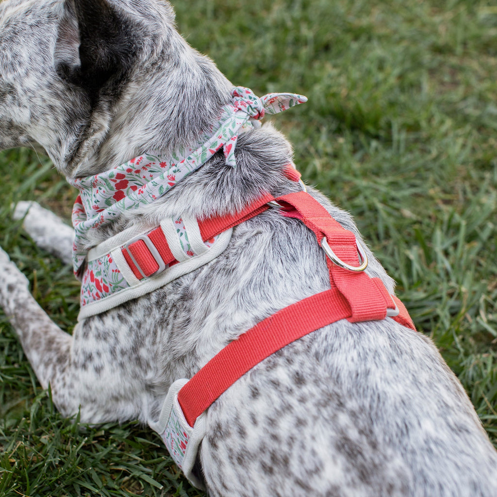 Ditsy Floral Dog Harness