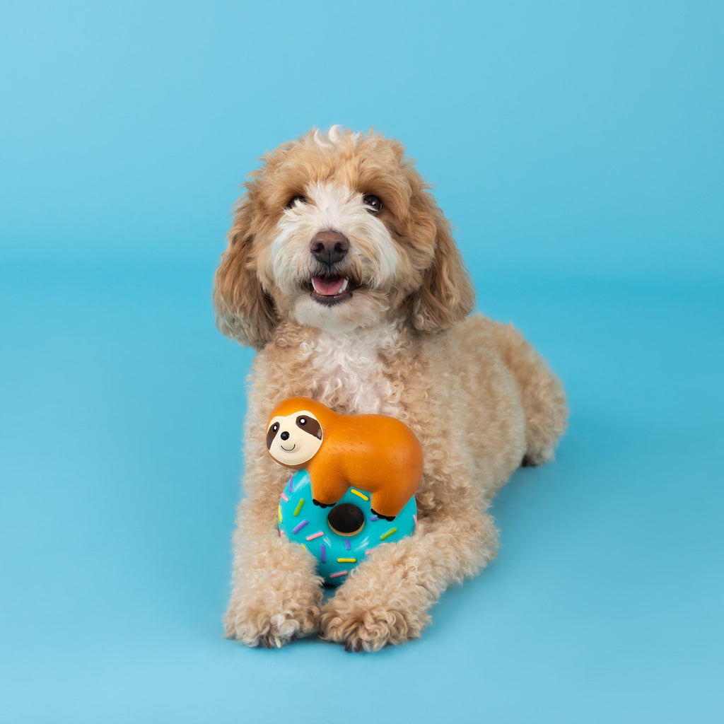 Donut Worry About A Thing Latex Dog Toy