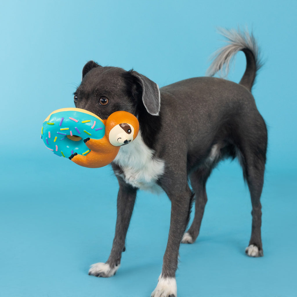 Donut Worry About A Thing Latex Dog Toy