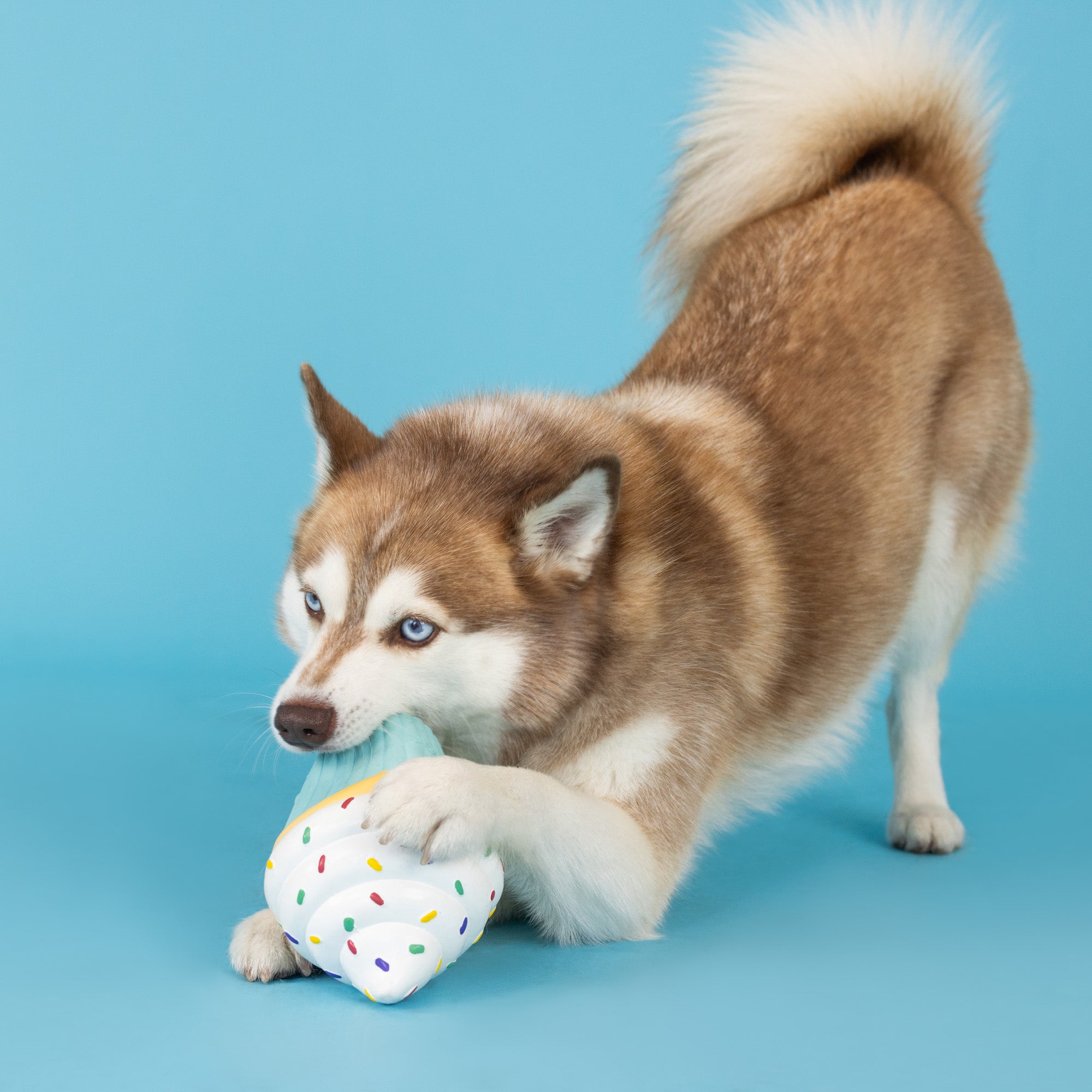 You Bake Me Crazy Latex Dog Toy | Fringe Studio