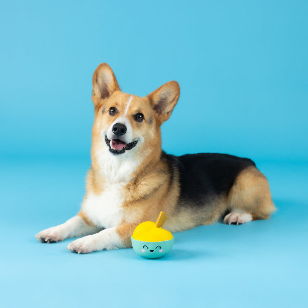 You Make Miso Happy Latex Dog Toy