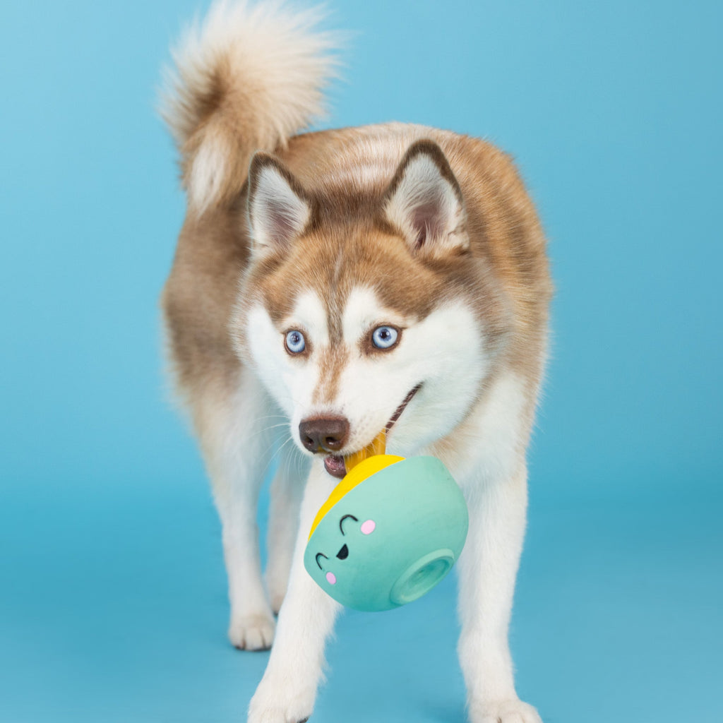 You Make Miso Happy Latex Dog Toy