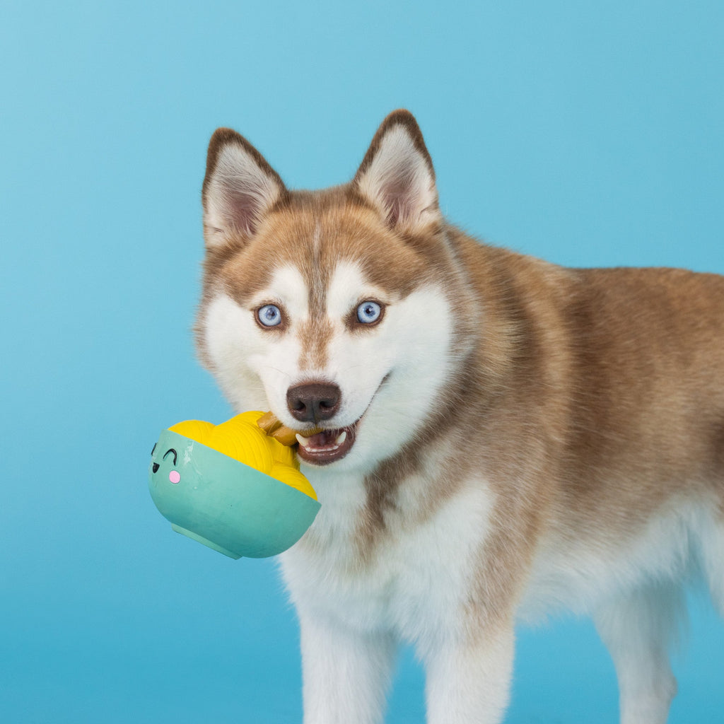 You Make Miso Happy Latex Dog Toy