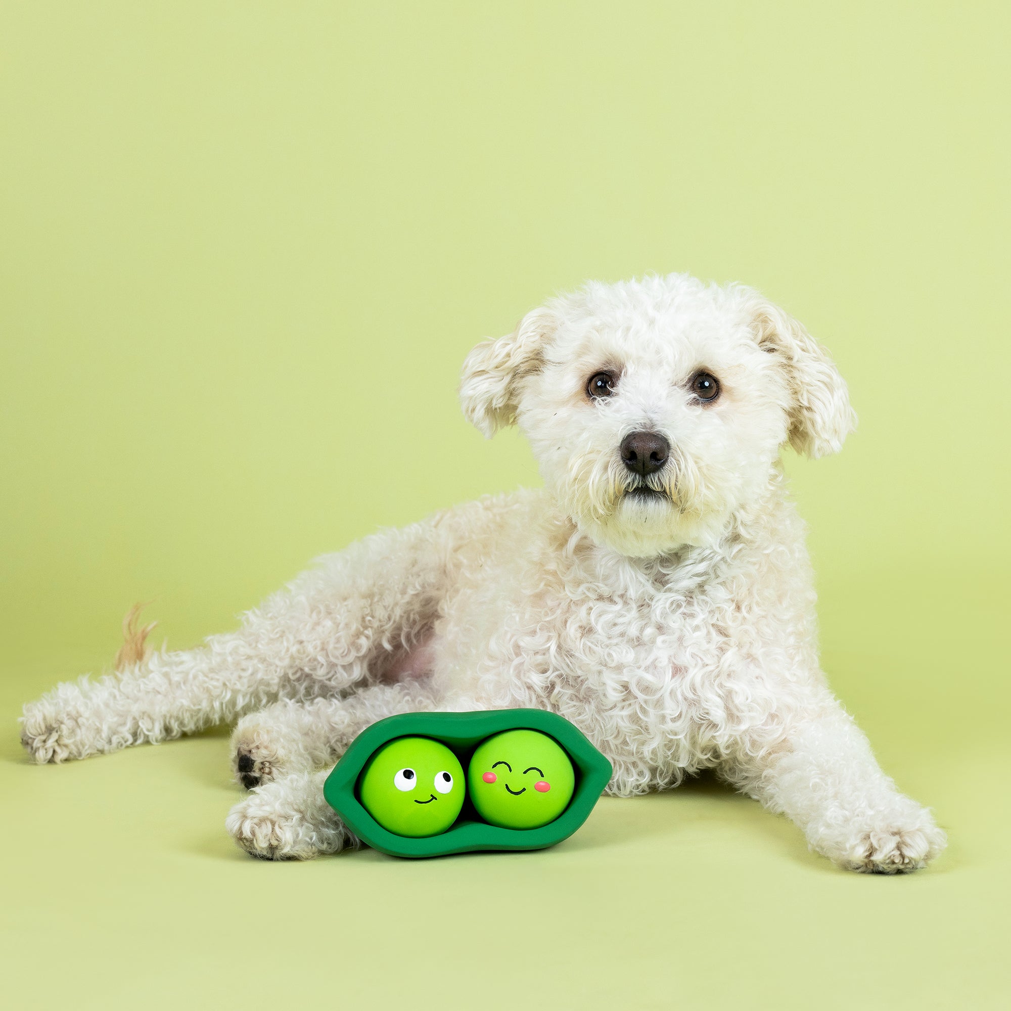 We Come In Peas Latex Dog Toy