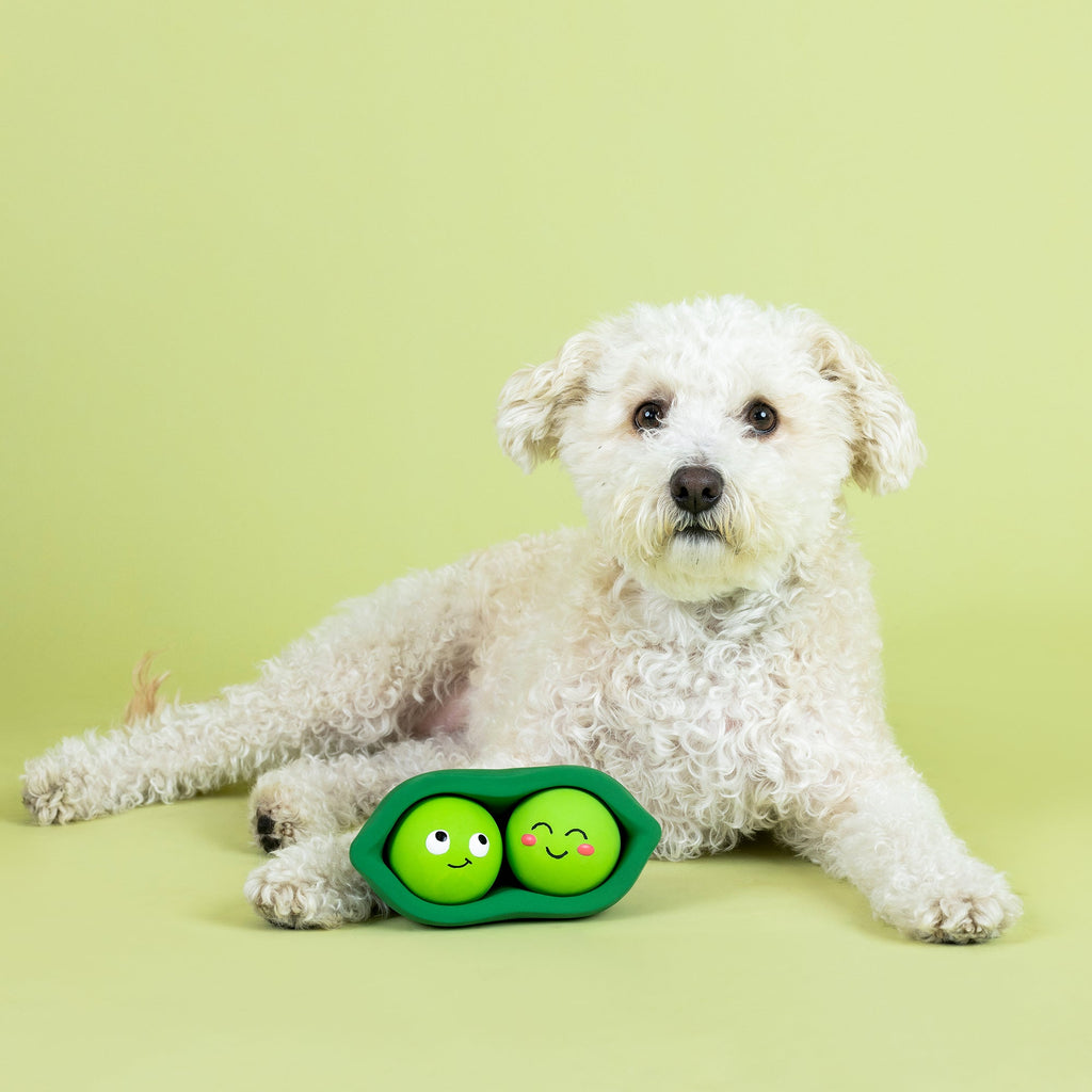 We Come In Peas Latex Dog Toy