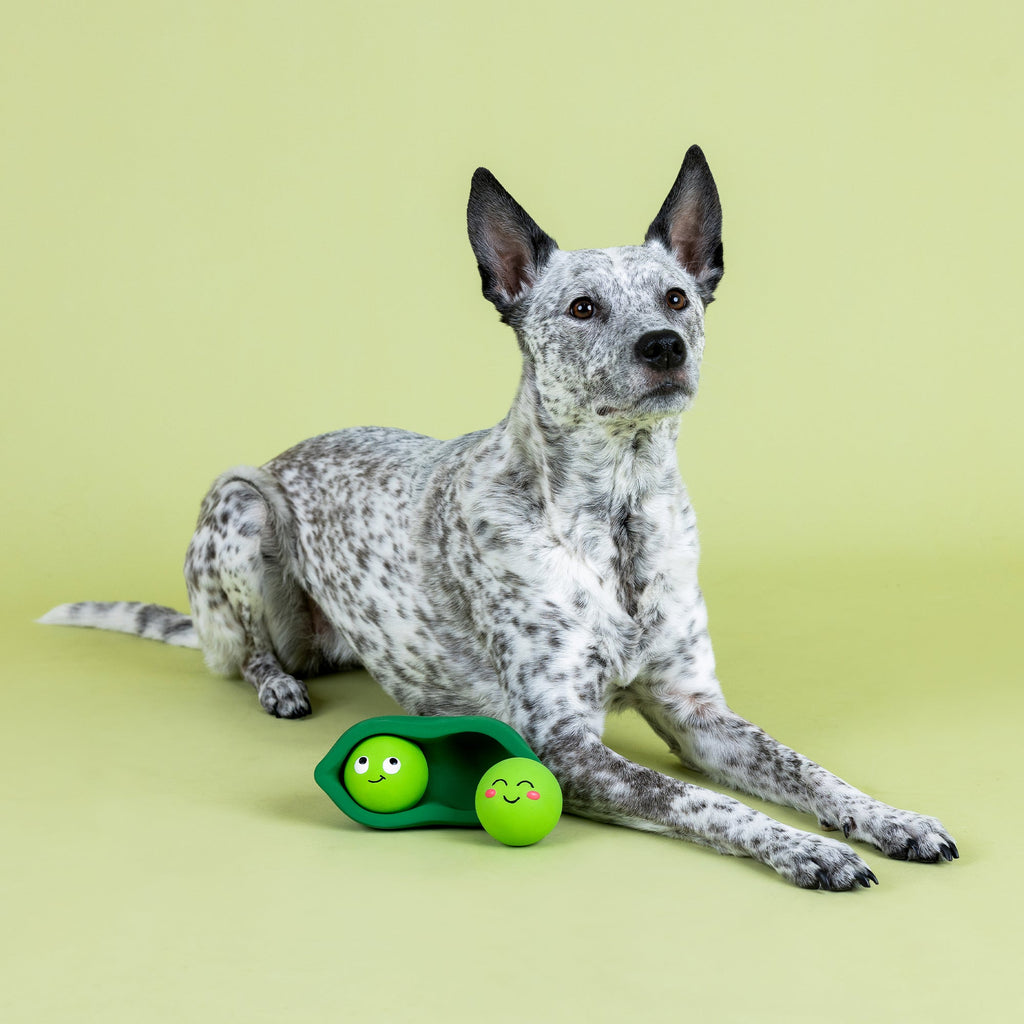 We Come In Peas Latex Dog Toy