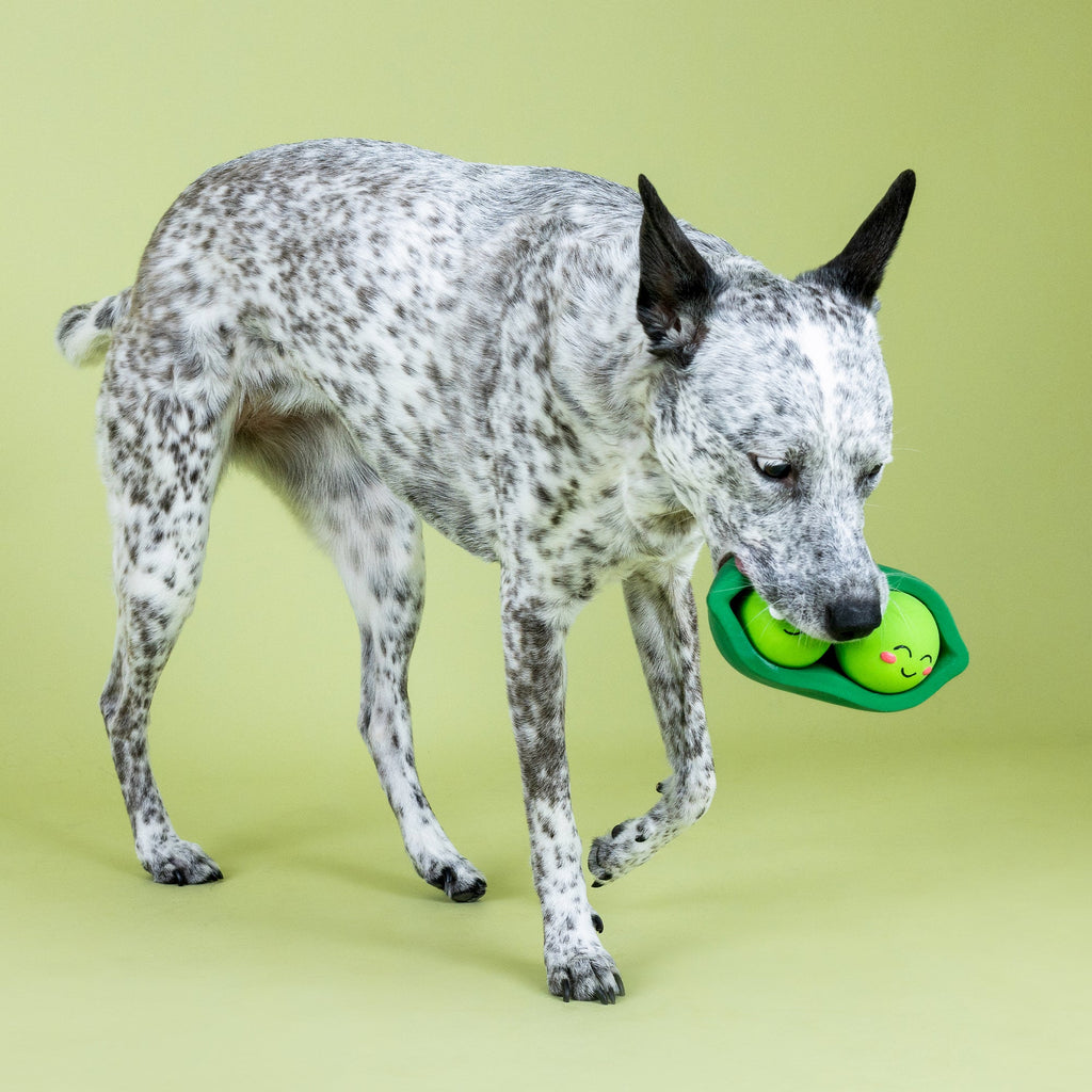 We Come In Peas Latex Dog Toy