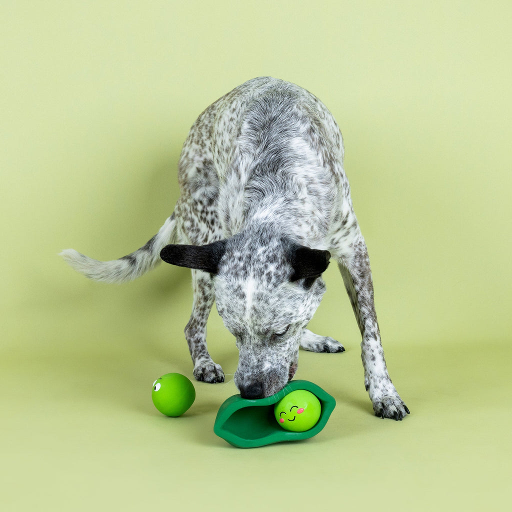 We Come In Peas Latex Dog Toy