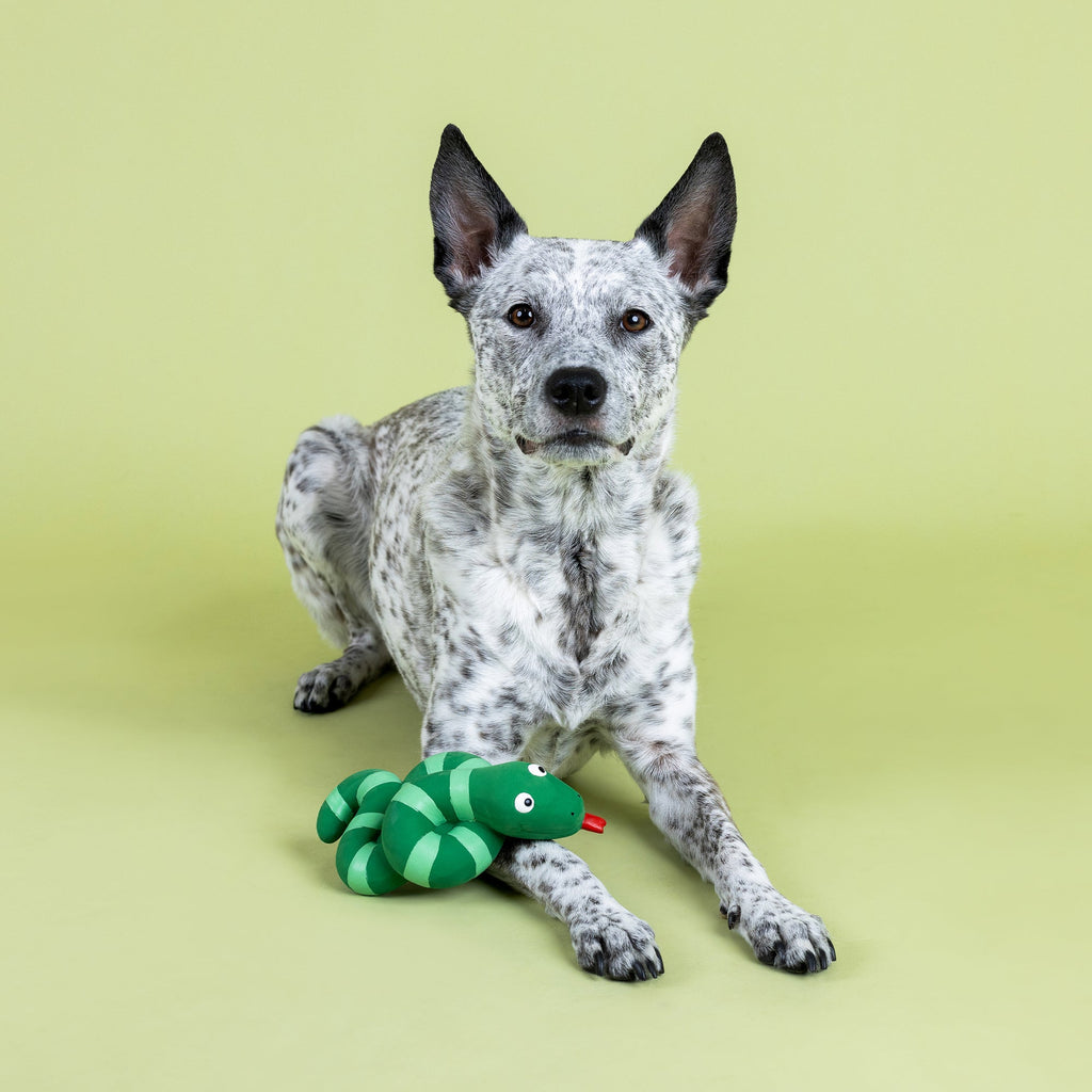 Knotty By Nature Latex Dog Toy