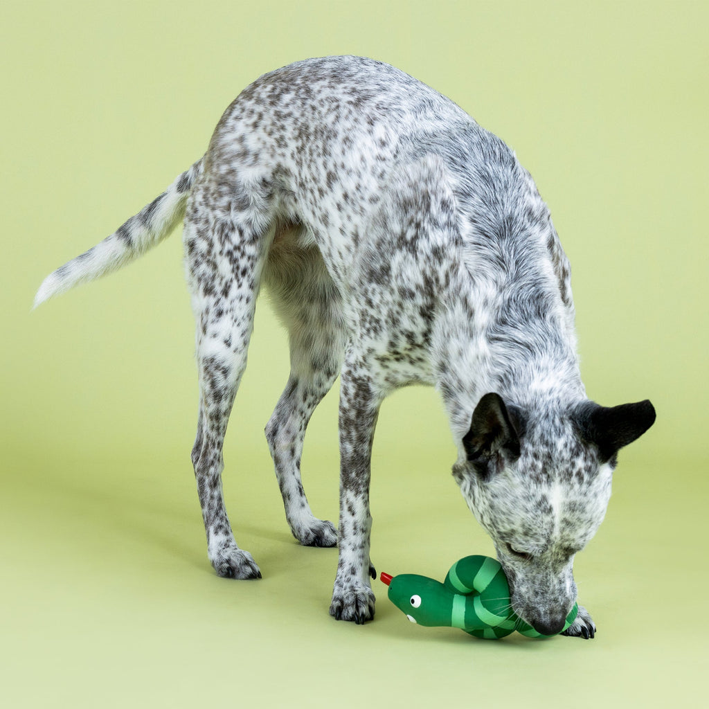 Knotty By Nature Latex Dog Toy