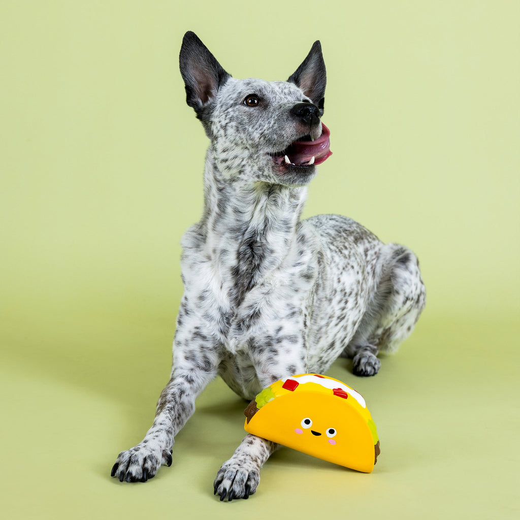 Whatchu Taco 'Bout Latex Dog Toy