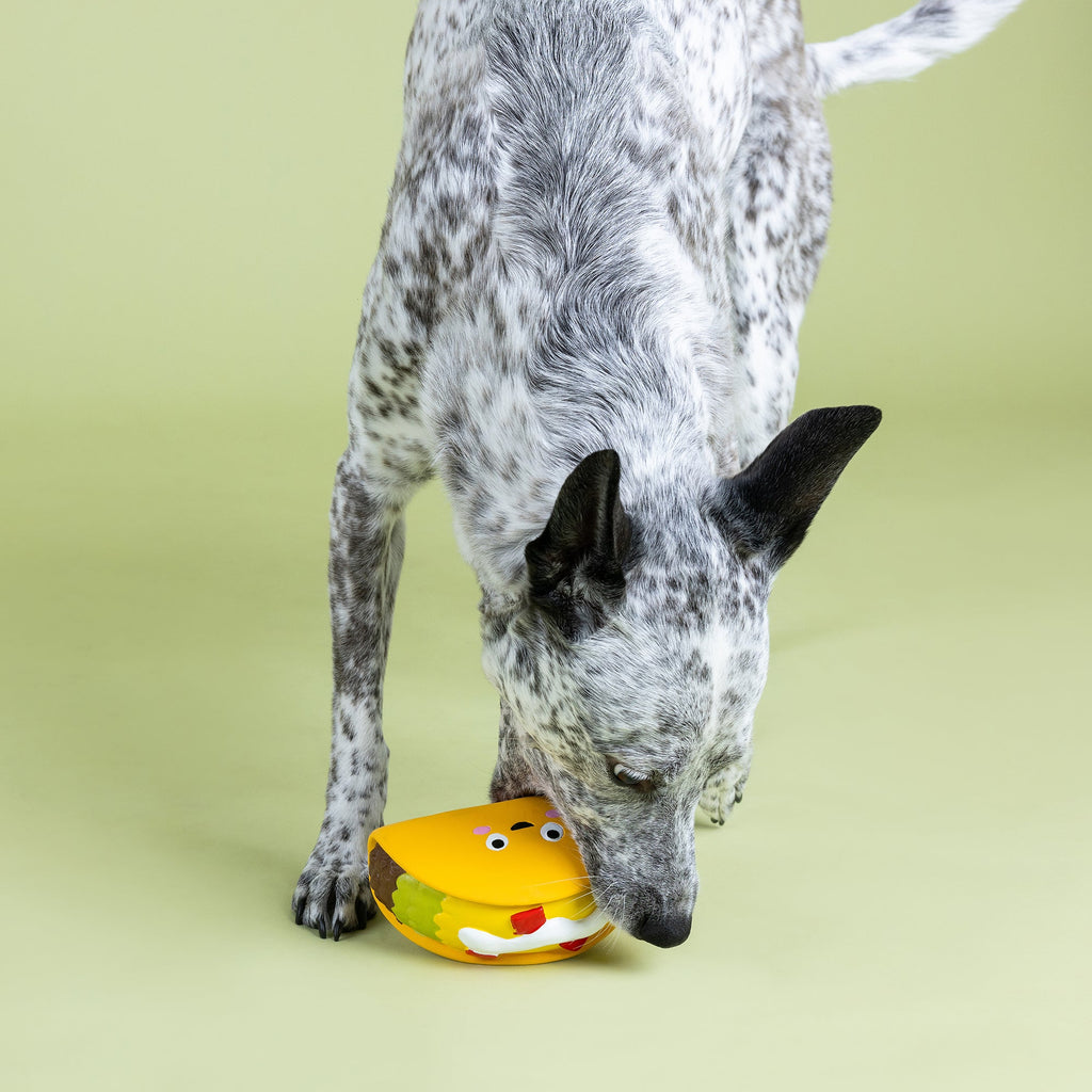 Whatchu Taco 'Bout Latex Dog Toy
