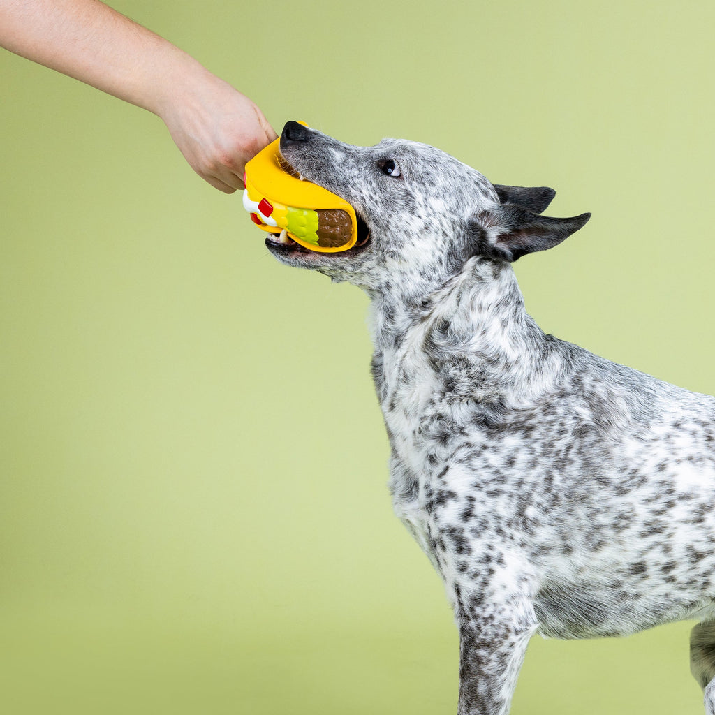 Whatchu Taco 'Bout Latex Dog Toy