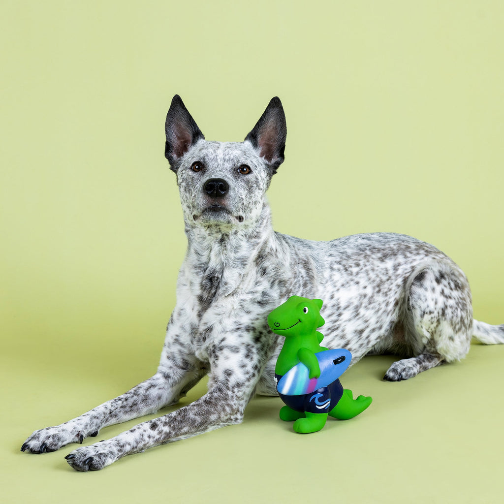 Good Vibes, High Tides Latex Dog Toy