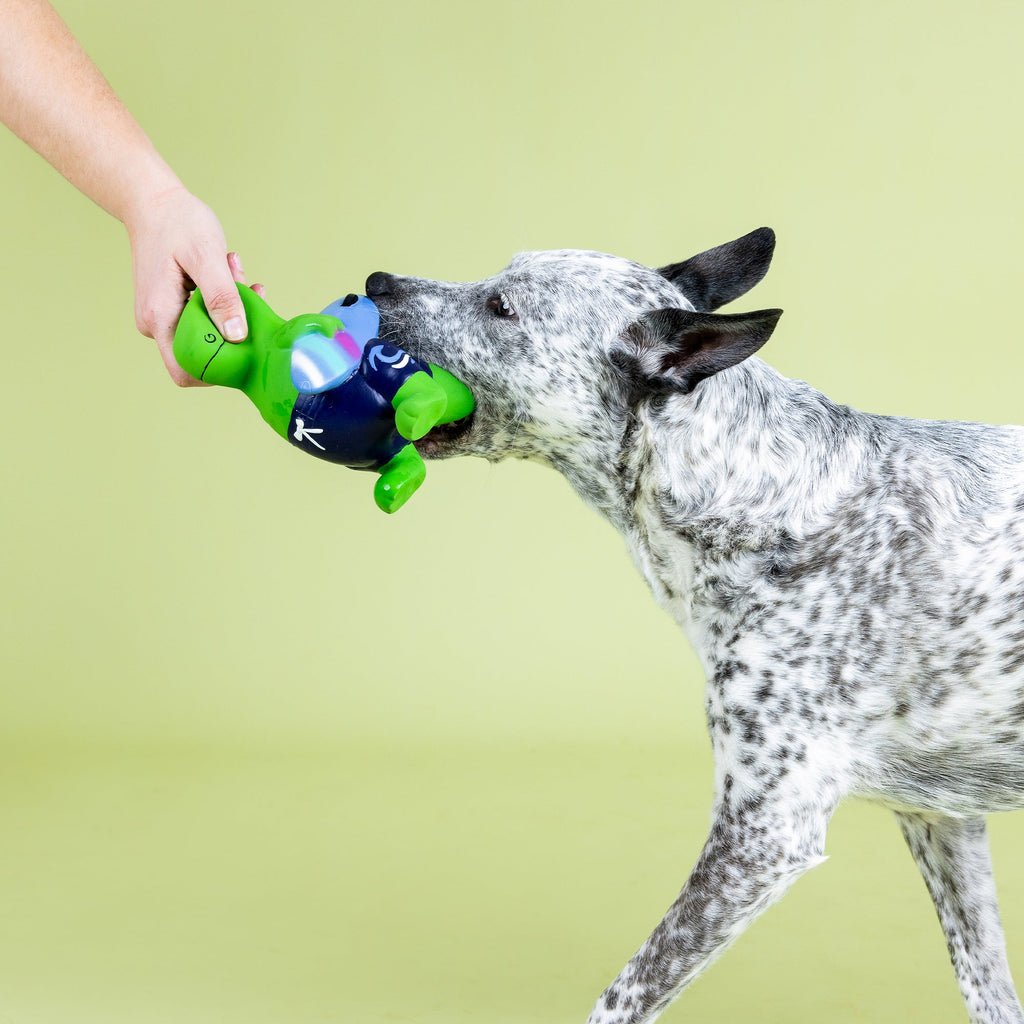 Good Vibes, High Tides Latex Dog Toy