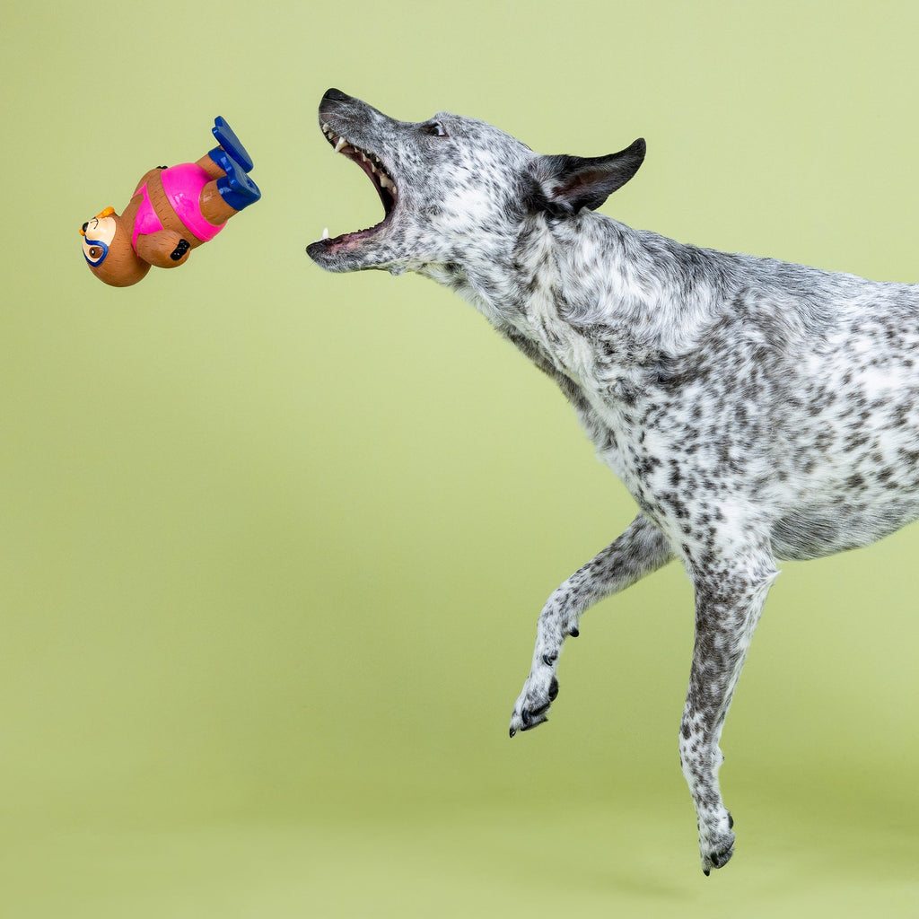 Eat, Sleep, Snorkel Latex Dog Toy