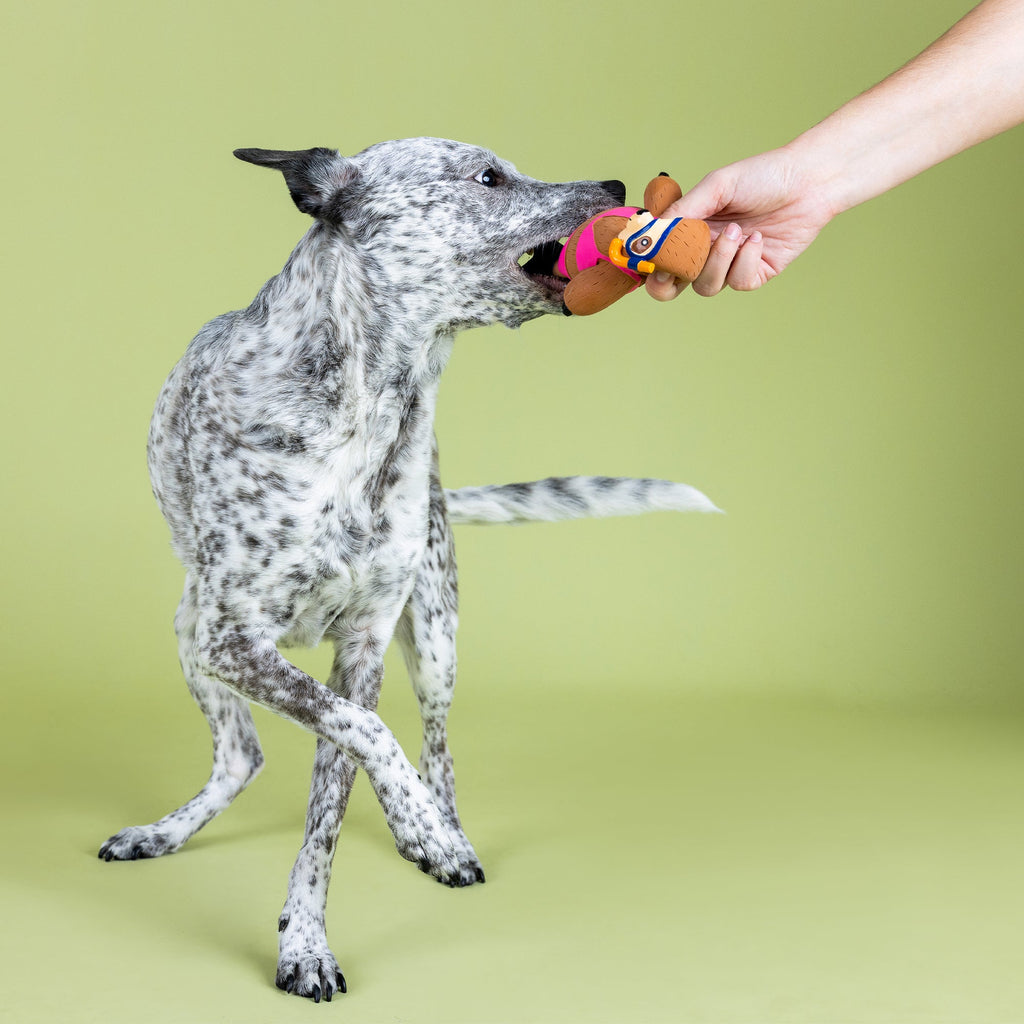 Eat, Sleep, Snorkel Latex Dog Toy