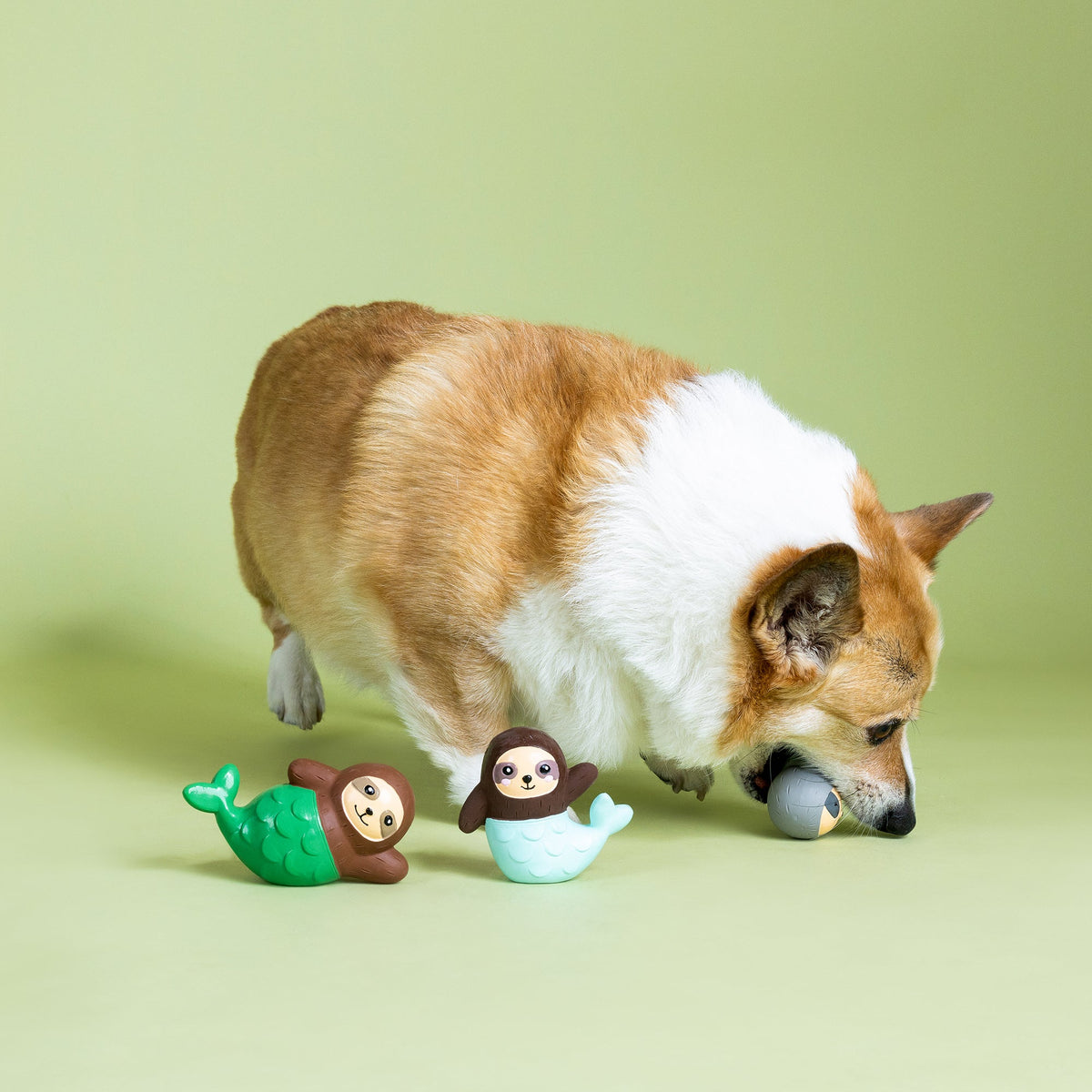 The Little Sloth-Maids 3pc Mini Latex Dog Toy Set