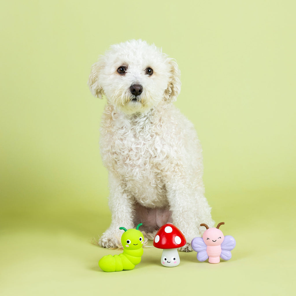 Keeping It Natural Latex Dog Toy