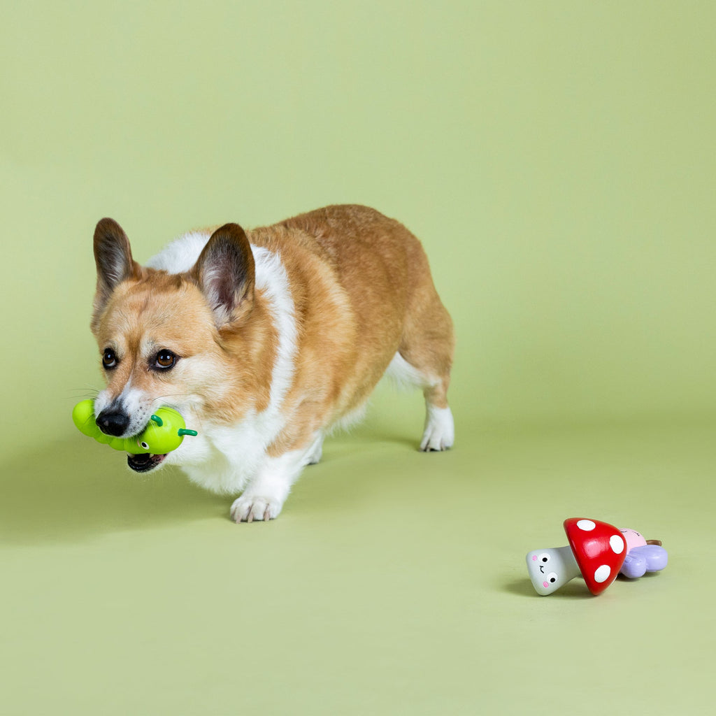 Keeping It Natural Latex Dog Toy