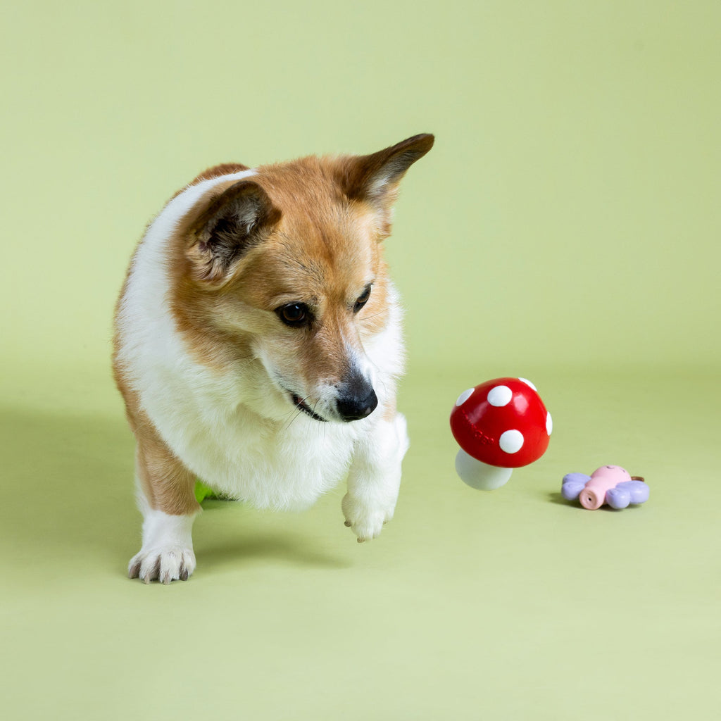 Keeping It Natural Latex Dog Toy