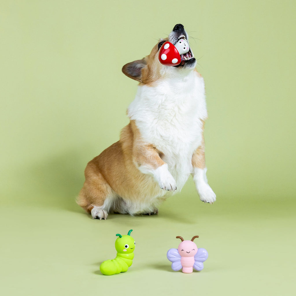 Keeping It Natural Latex Dog Toy
