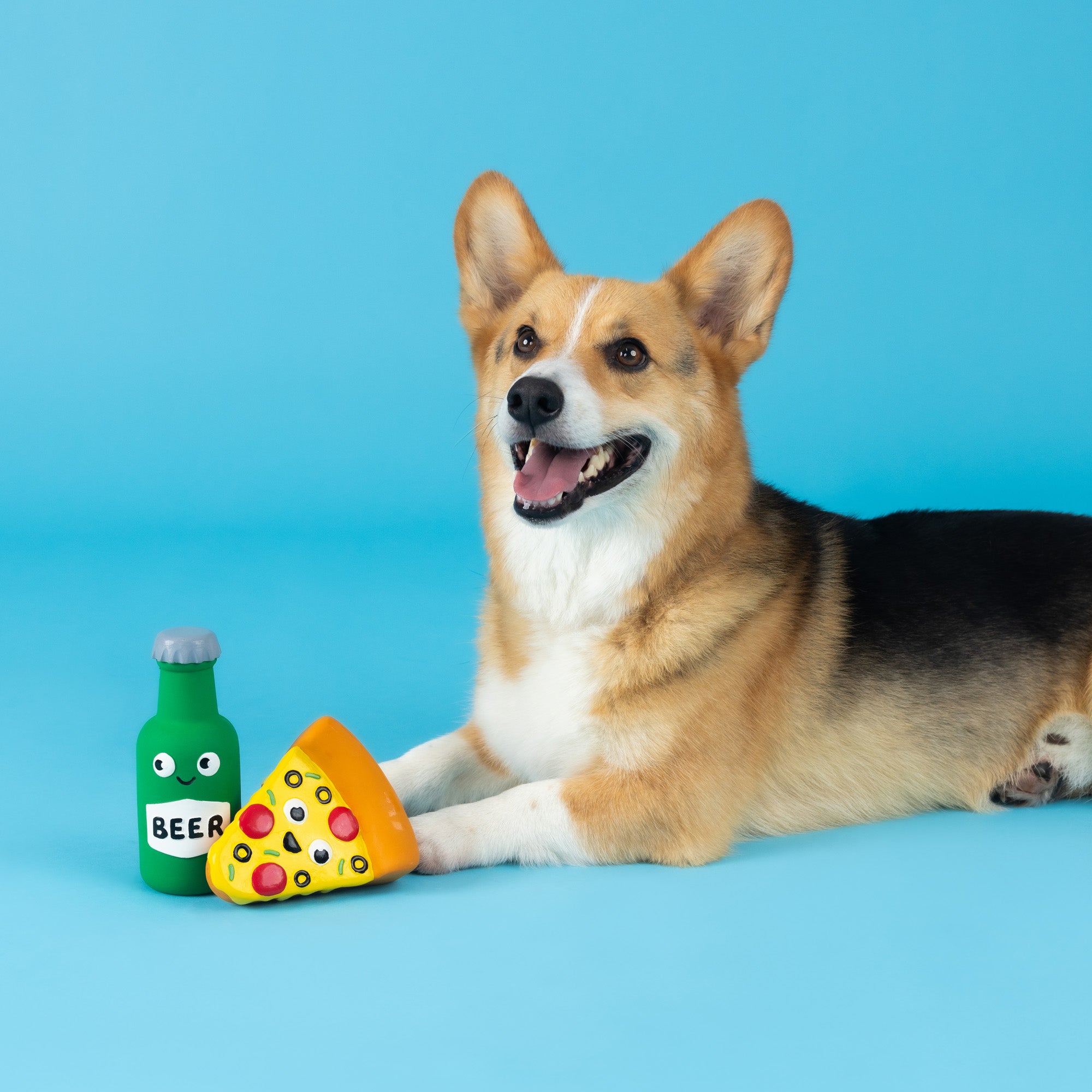 In Pizza We Crust 2pc Latex Dog Toy Set