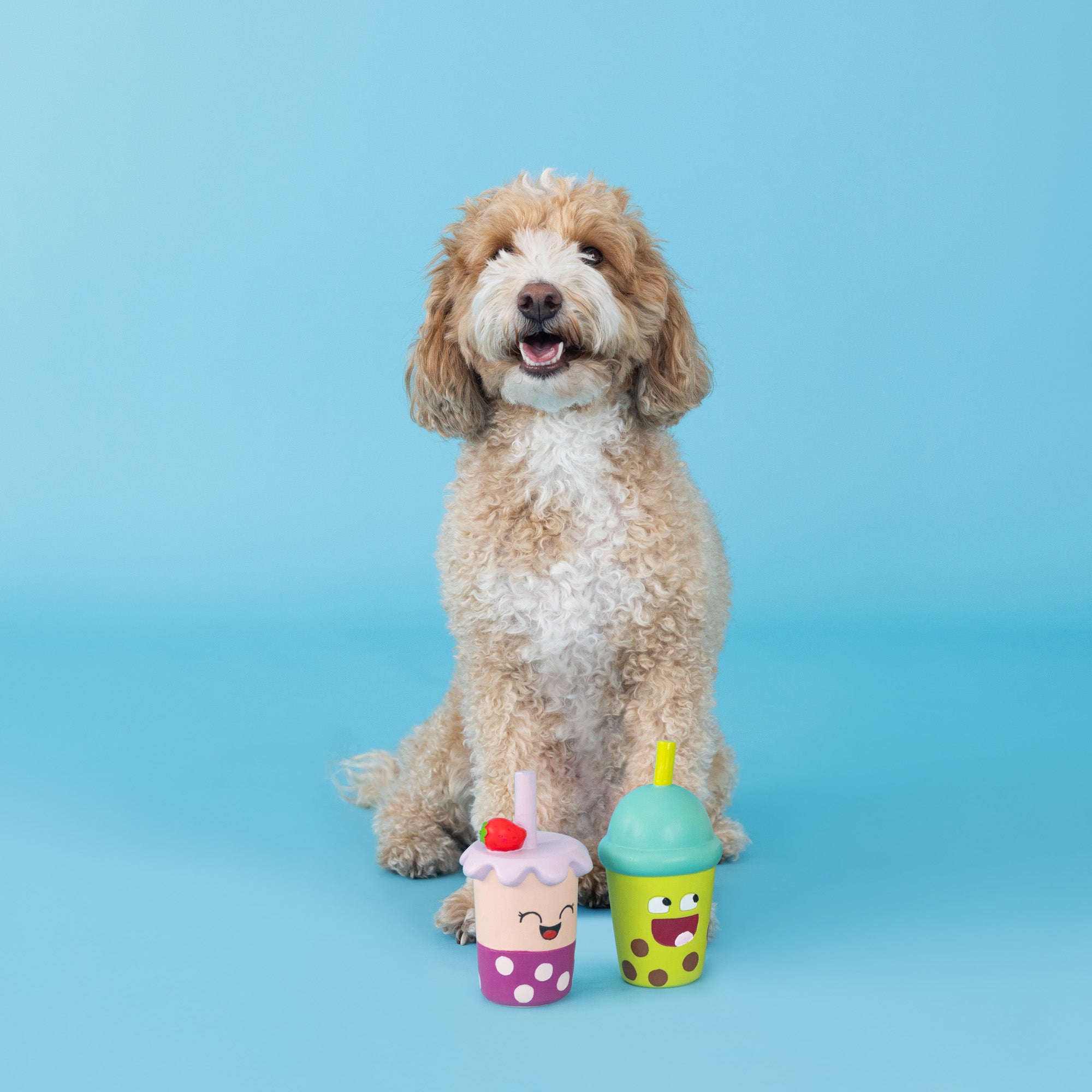 Best-Teas 2pc Latex Dog Toy Set