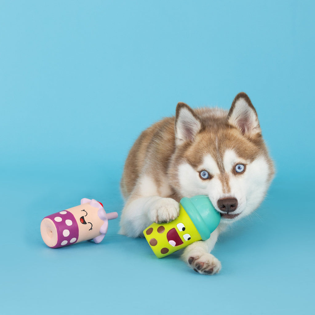 Best-Teas 2 Piece Latex Dog Toy