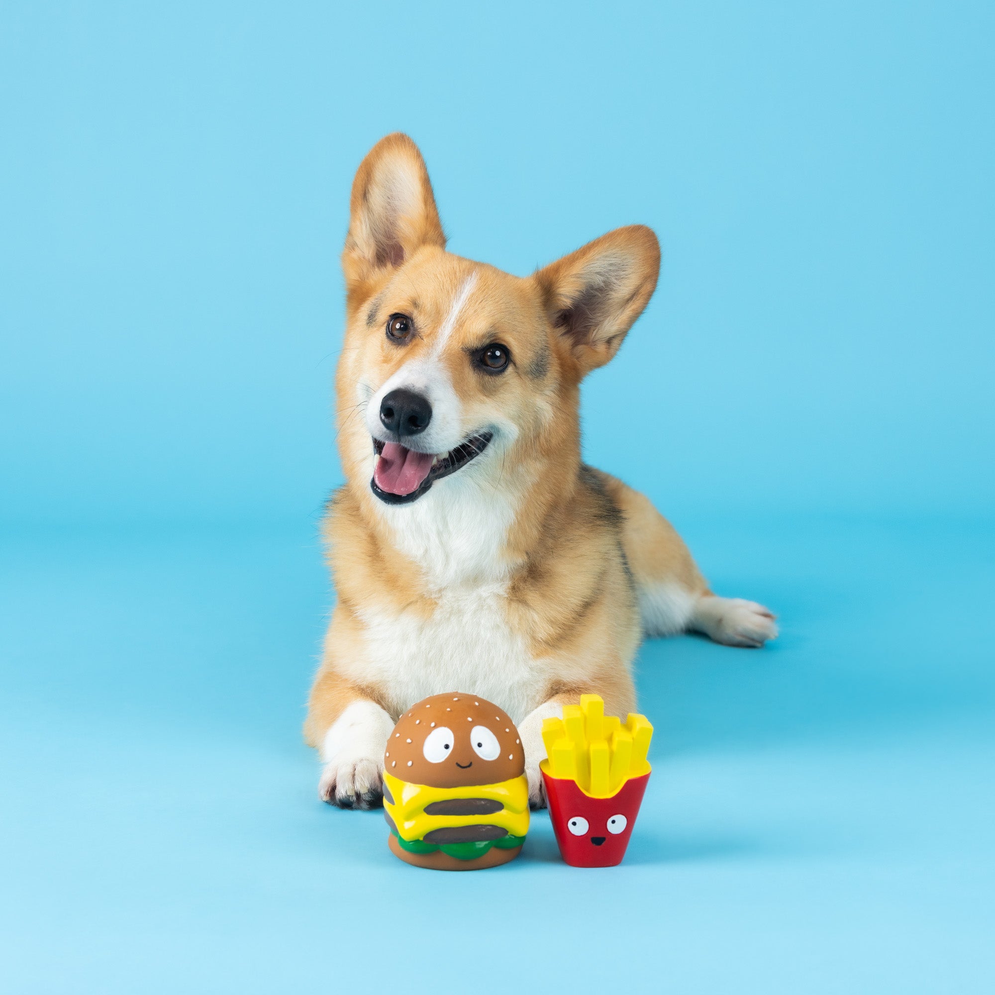Big Buns, Small Fry 2pc Latex Dog Toy Set