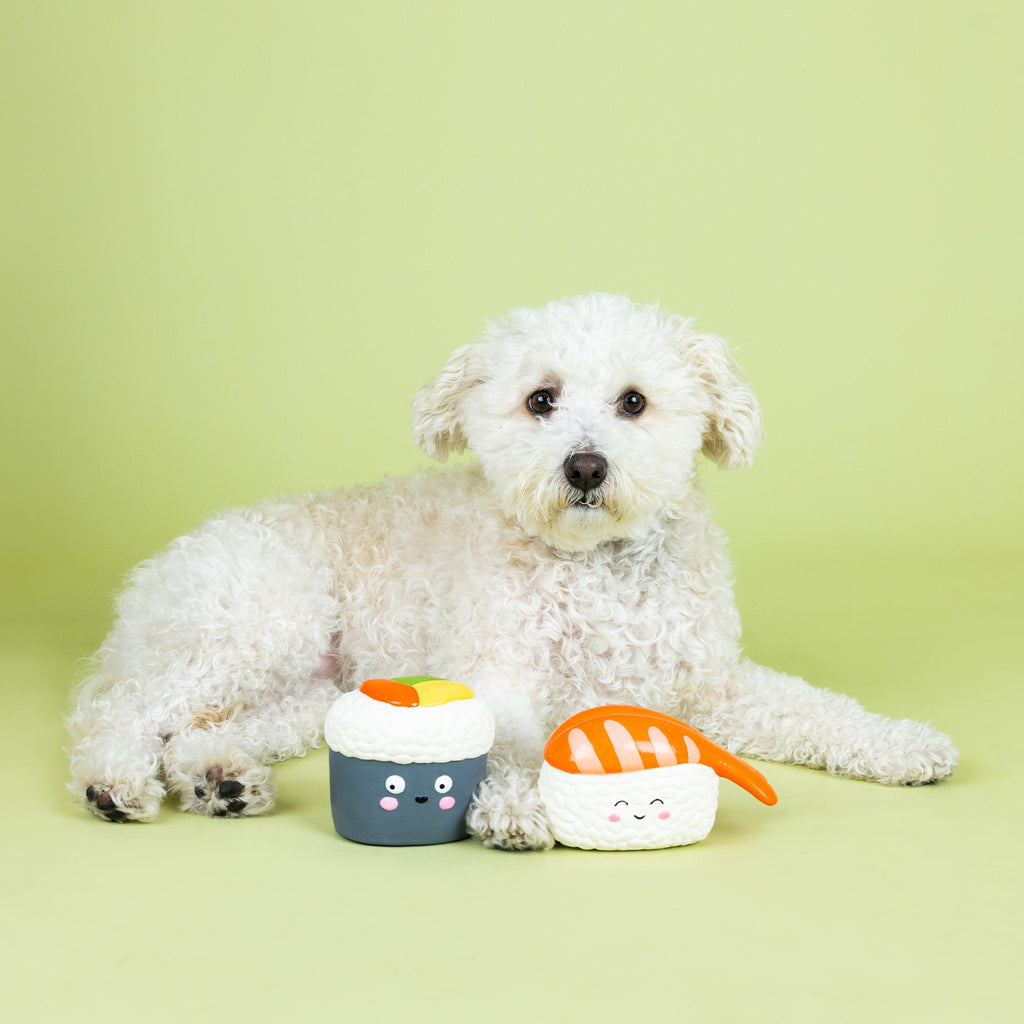 Soymates Latex Dog Toy