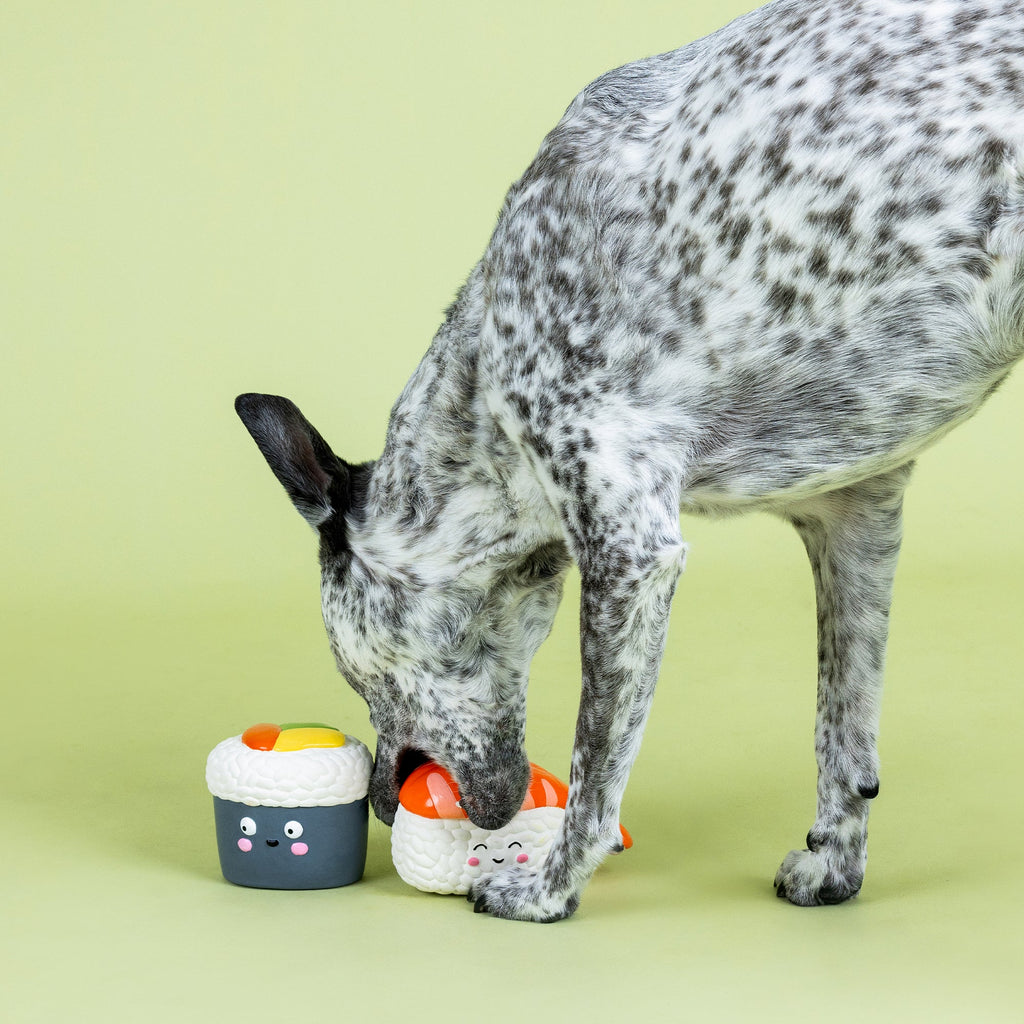 Soymates Latex Dog Toy