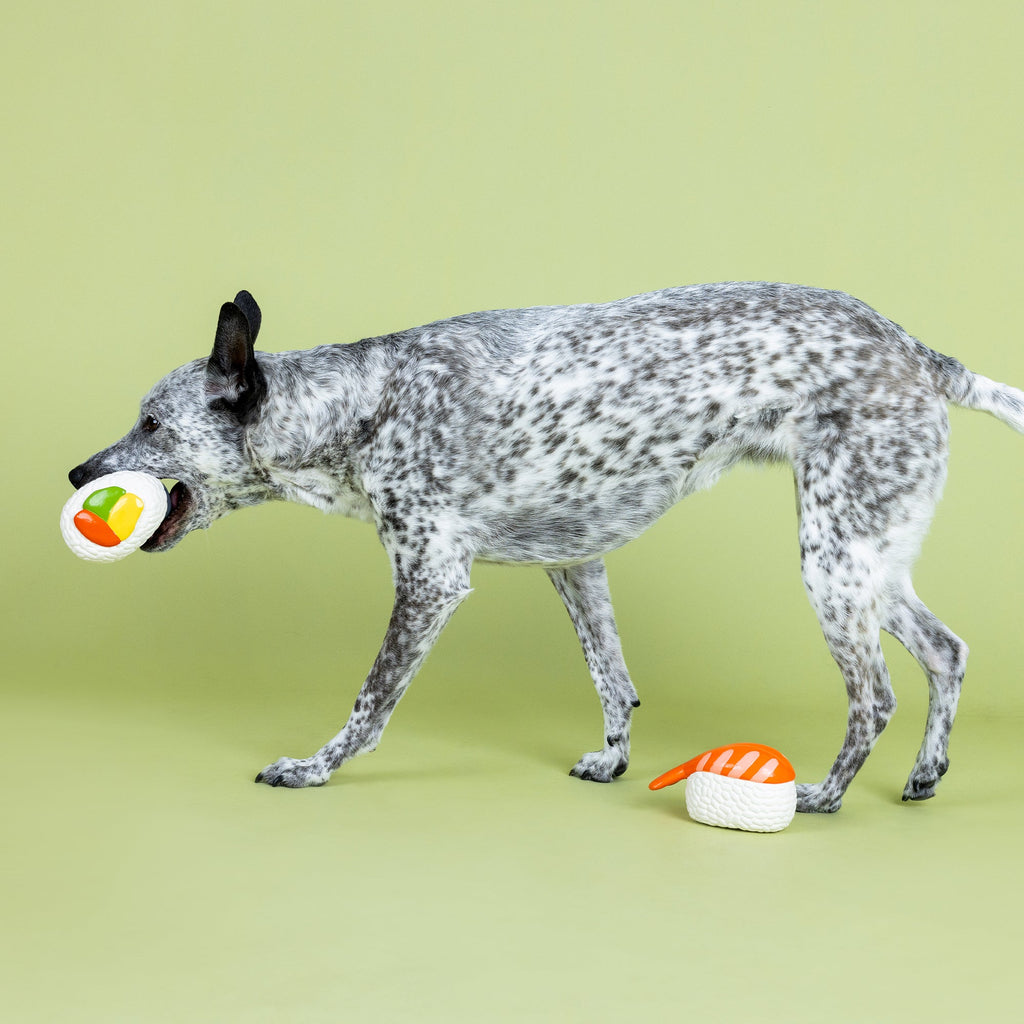 Soymates Latex Dog Toy