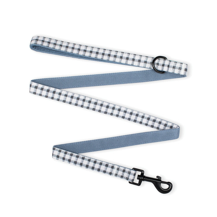 Painted Gingham Dog Leash